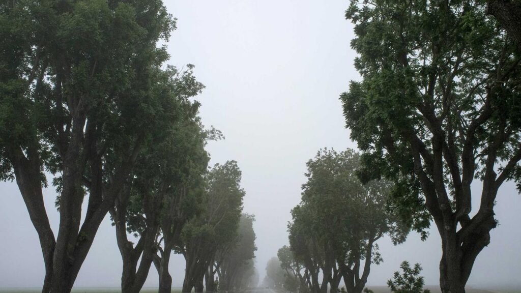 Mautfreie Alternativen in Österreich: Was Sie wissen müssen