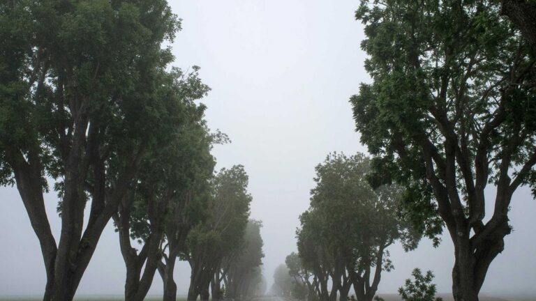 Mautfreie Alternativen in Österreich: Was Sie wissen müssen